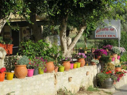 Hostal Villa Costas - Popi