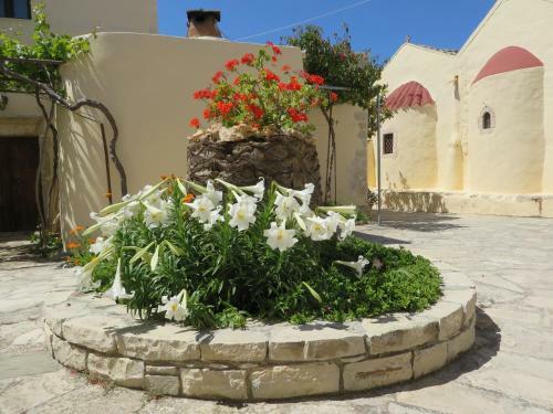 Hostal Villa Costas - Popi