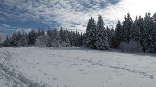 Bed & Breakfast Domaine Du Mas Du Taillet