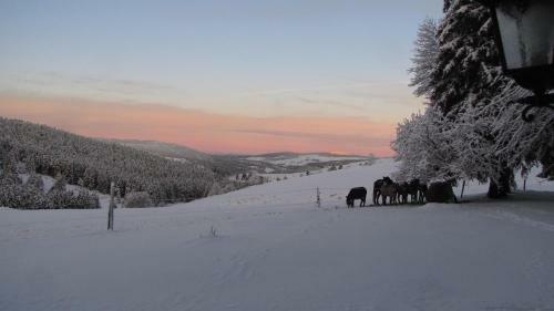 Bed & Breakfast Domaine Du Mas Du Taillet