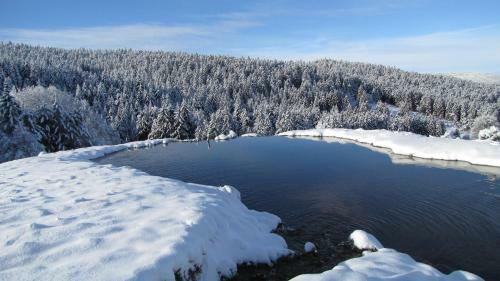 Bed & Breakfast Domaine Du Mas Du Taillet