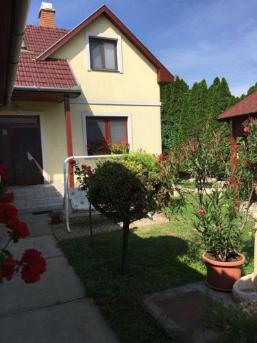 Apartman D�ra