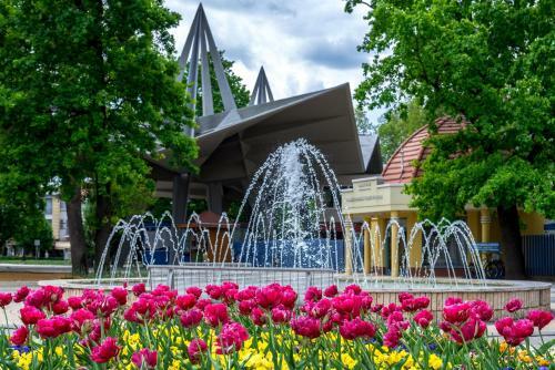 Exclusive Thermal & Wellness Apartman