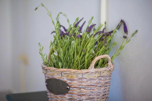 Apartamento Villa Panorama