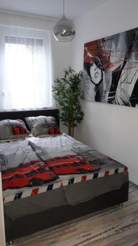 Apartamento King23
