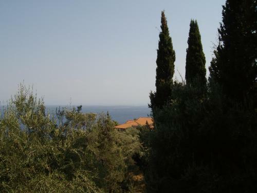 Spiros Apartments