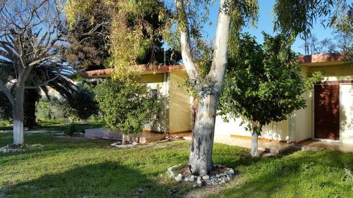 Apartamento Danaides Bungalows
