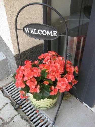 Hostal Hotel Casa Latina