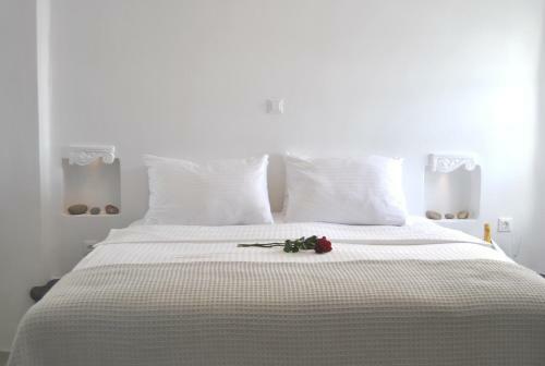 Hotel Aspaki By Art Maisons