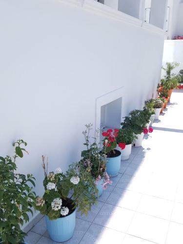 Hostal Ptolemeos Pension