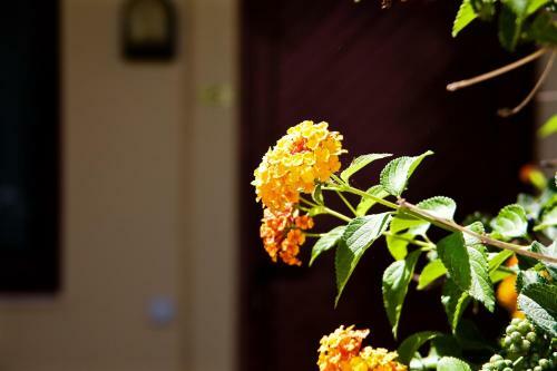 Apartamento Angela Studios Pefkos