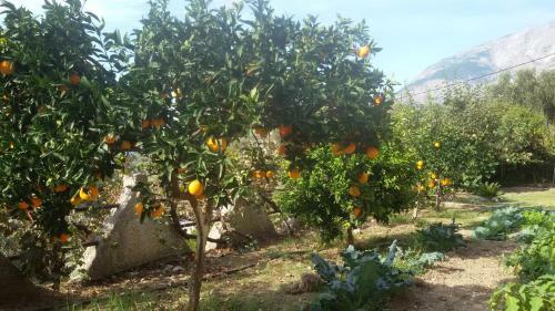 Aparthotel Thalina Hotel