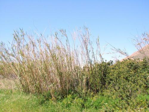 Apartamento Aegialis Studios & Rooms