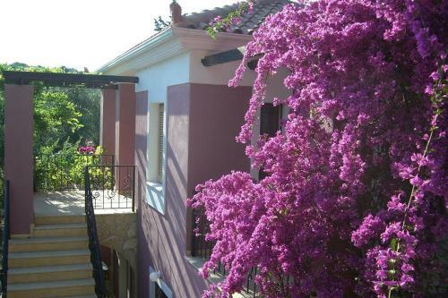 Kika Apartments