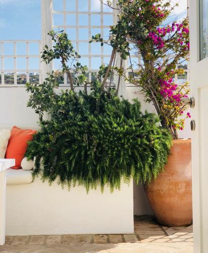 Hostal La Maison Kalogera