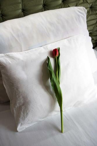 K�lv�ria-r�cz Hotel