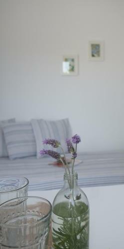Apartamento Studio Ornos