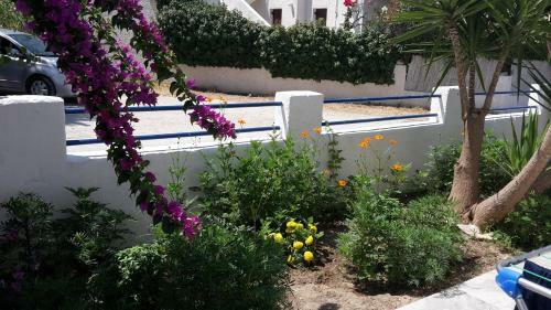 Hostal Pension Piertzovani