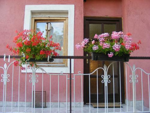 Apartamento Ter�zia Vend�gh�z
