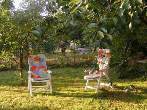 Apartamento Ter�zia Vend�gh�z