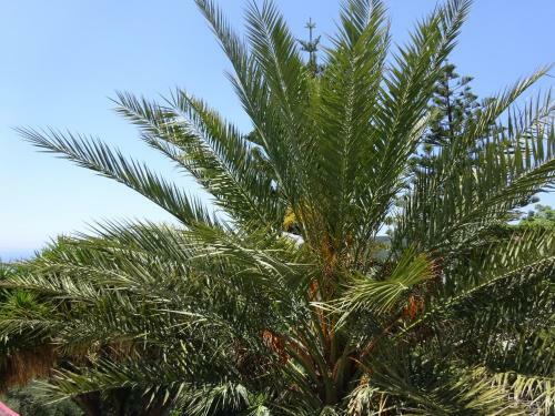 Hostal Studios Ristas Kostas