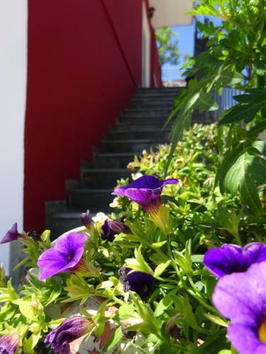 Hostal Studios Ristas Kostas