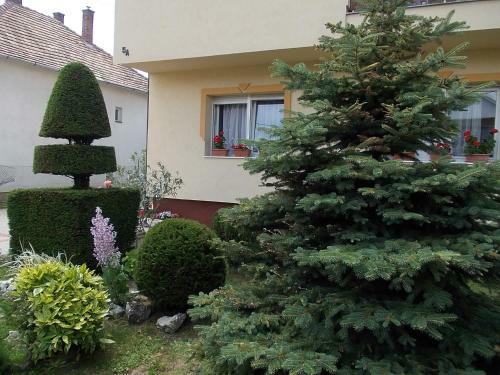 Hostal Judit Vend�gh�z