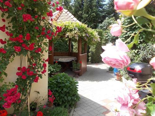 Hostal Judit Vend�gh�z