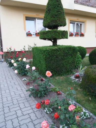 Hostal Judit Vend�gh�z