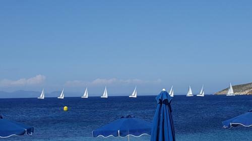 Aparthotel Dream Island Hotel