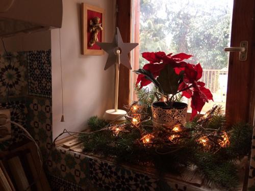 Hostal M?terem Apartmanh�z