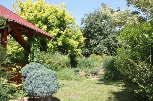 Hostal Aranykert Vend�gh�z