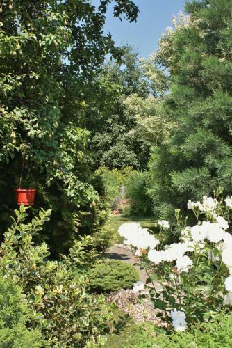 Hostal Aranykert Vend�gh�z
