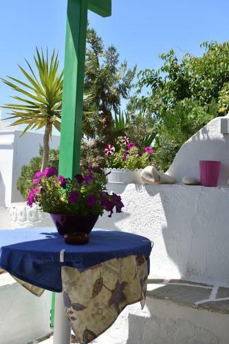 Apartamento Paradise Studios