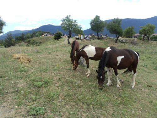 Hostal Archontiko Nikolopoulou