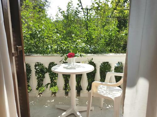 Apartamento Alexandros Studios