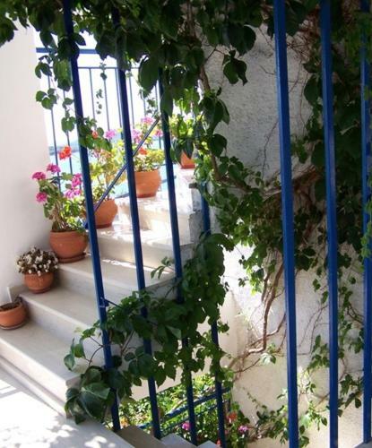 Apartamento Gianna Studios