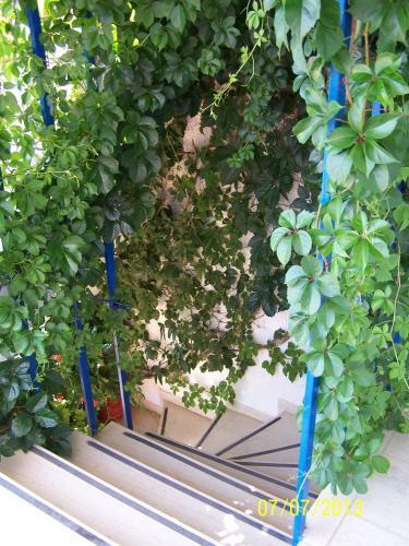 Apartamento Gianna Studios