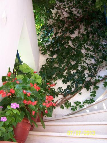 Apartamento Gianna Studios