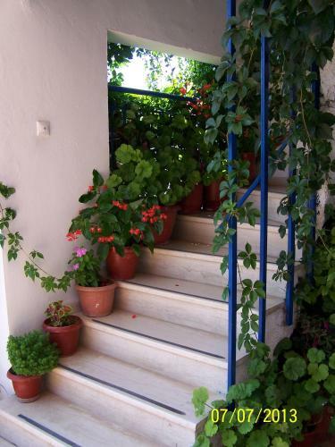 Apartamento Gianna Studios