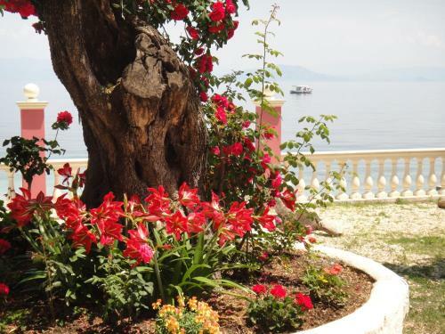Apartments Corfu Sun Sea Side