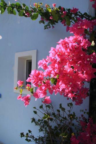 Apartamento Maria's Place