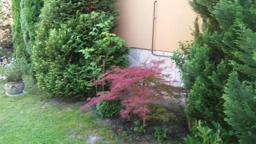 Apartamento Holiday Home Balatonlelle/balaton 19117