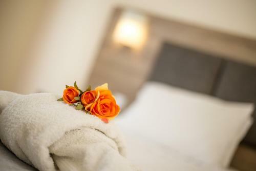 Apartamento Patricia Studios