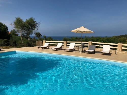 Belvista Luxury Apartments