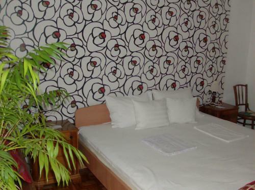 Hostal Zsuzsanna H�z