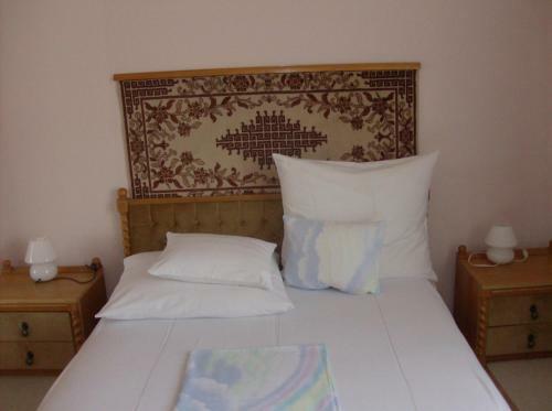 Hostal Zsuzsanna H�z