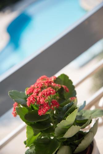 Acharnis Kavallari Hotel Suites