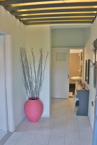 Apartamentos Kini Bay
