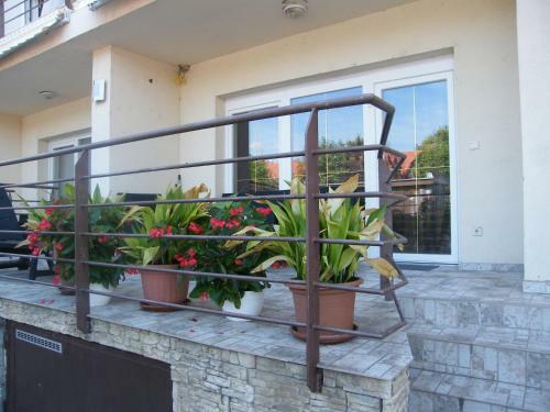 City Apartman H�z